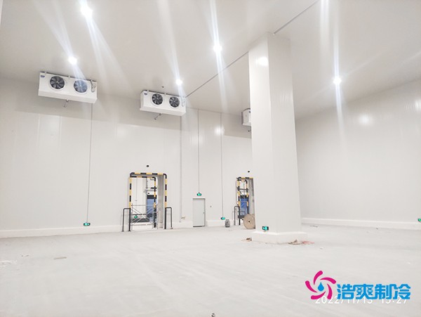 二氧化碳物流冷庫建造施工完成內景